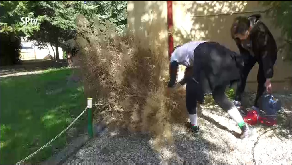Faültetés A Föld Napja Alkalmából